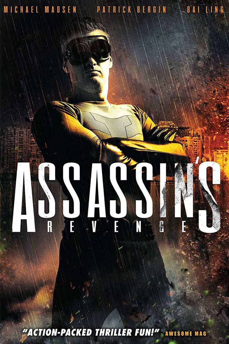 فيلم Assassins Revenge