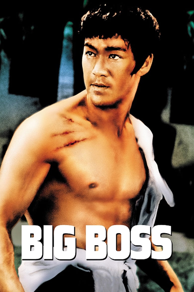 فيلم The Big Boss