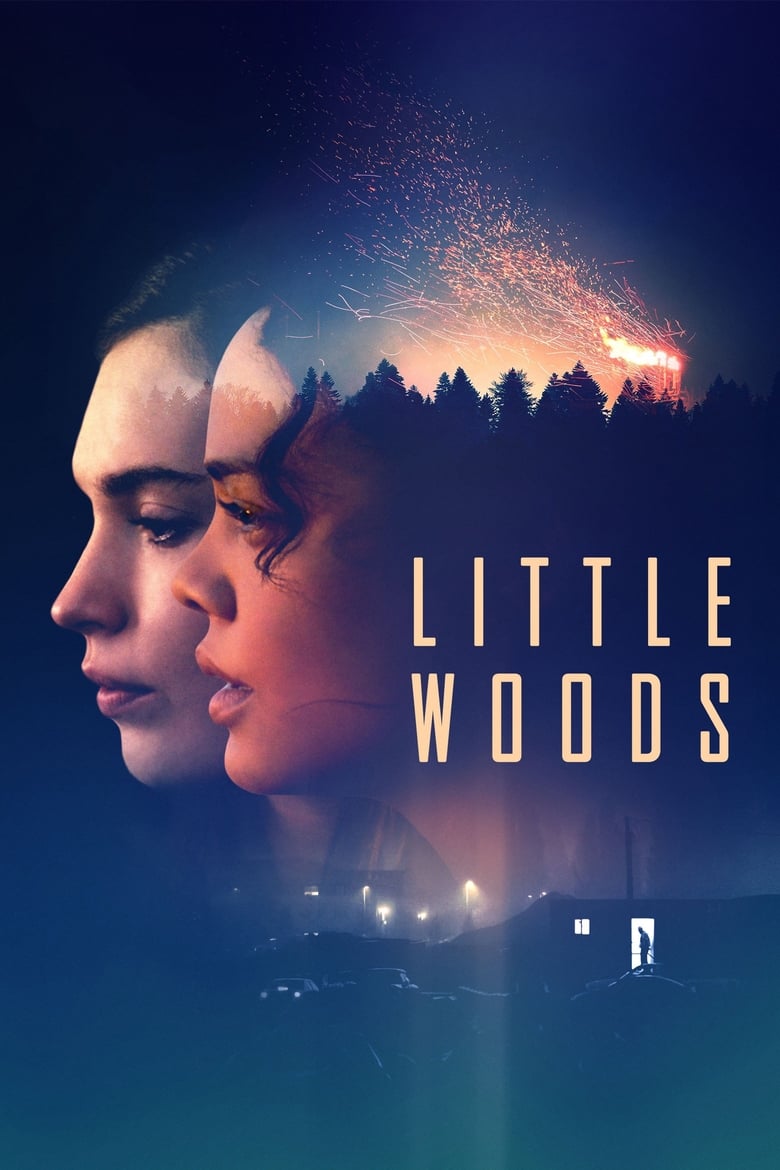 فيلم Little Woods