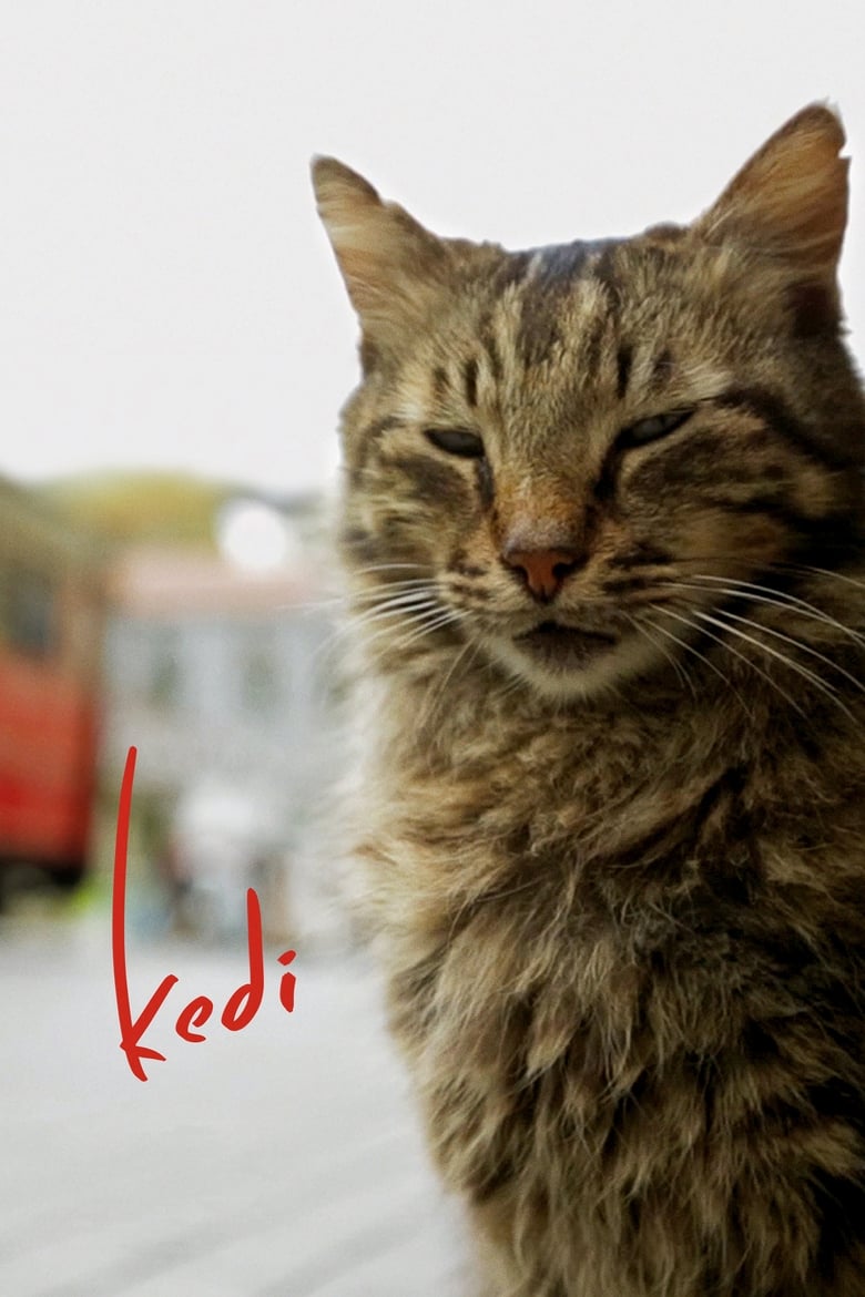 فيلم Kedi