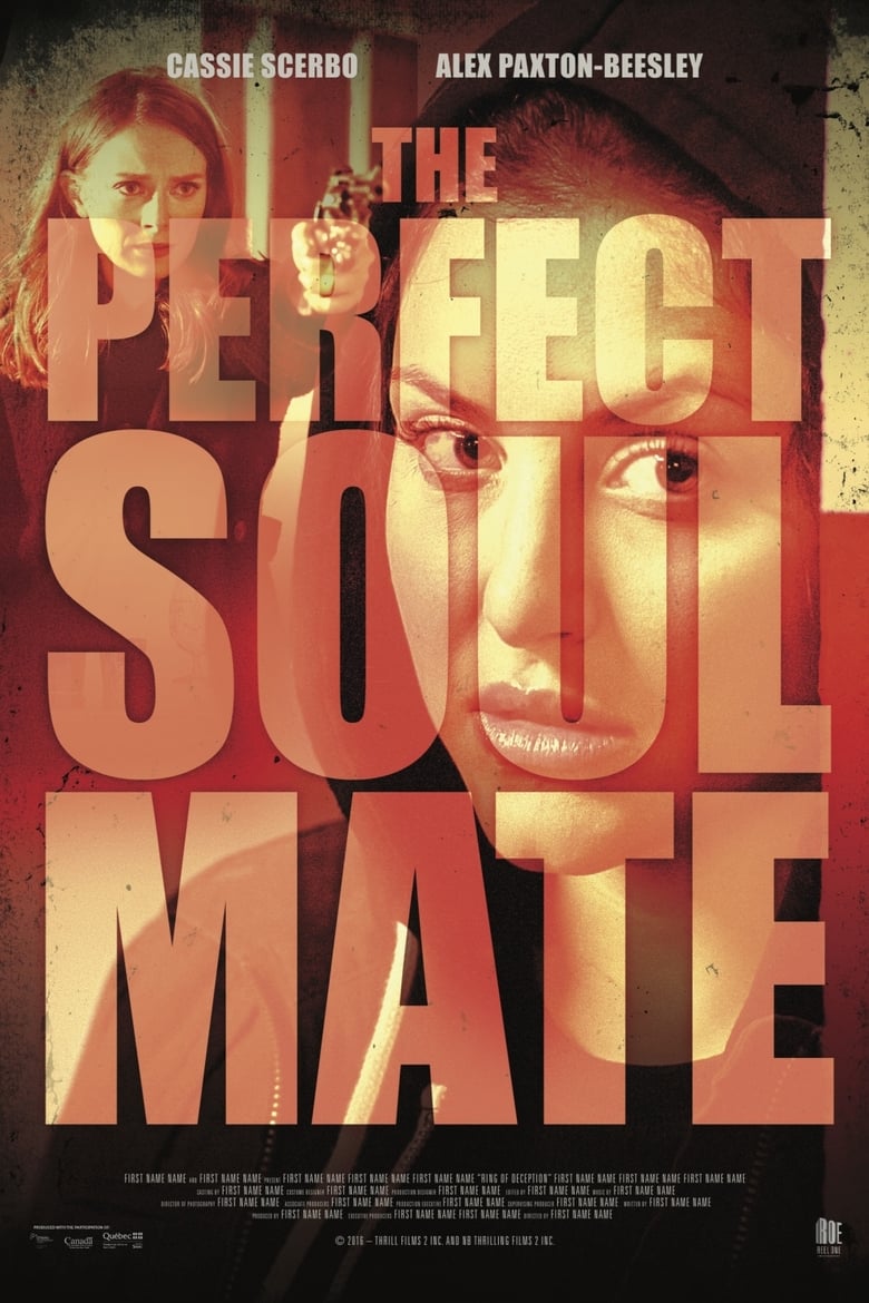 فيلم The Perfect Soulmate