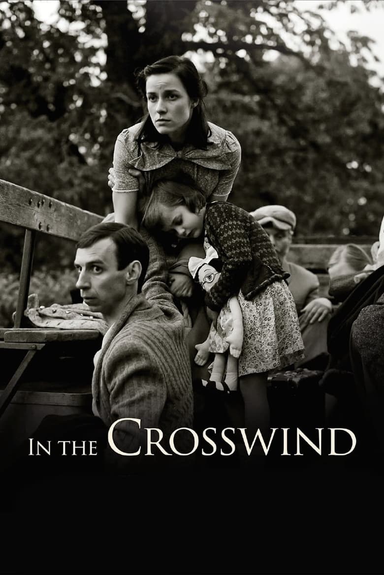 فيلم In the Crosswind