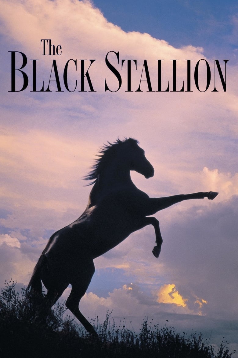 فيلم The Black Stallion