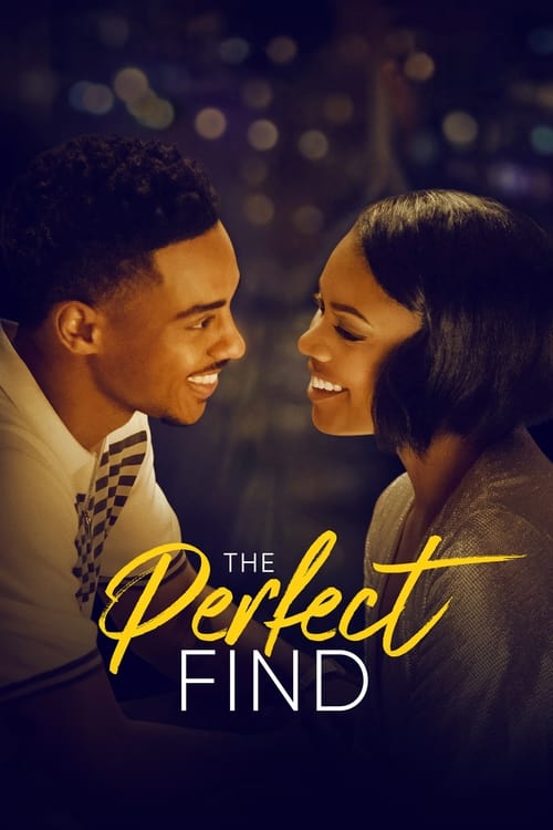 فيلم The Perfect Find